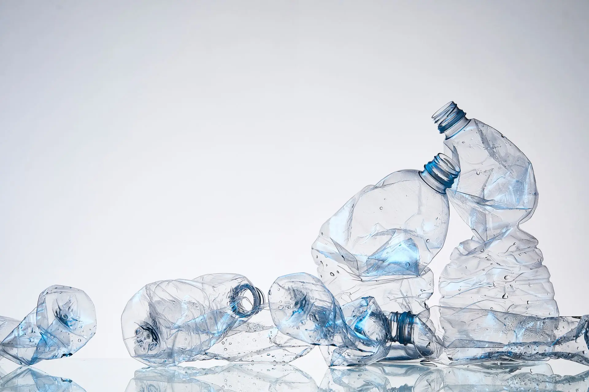 iStock-1463612665202.webp